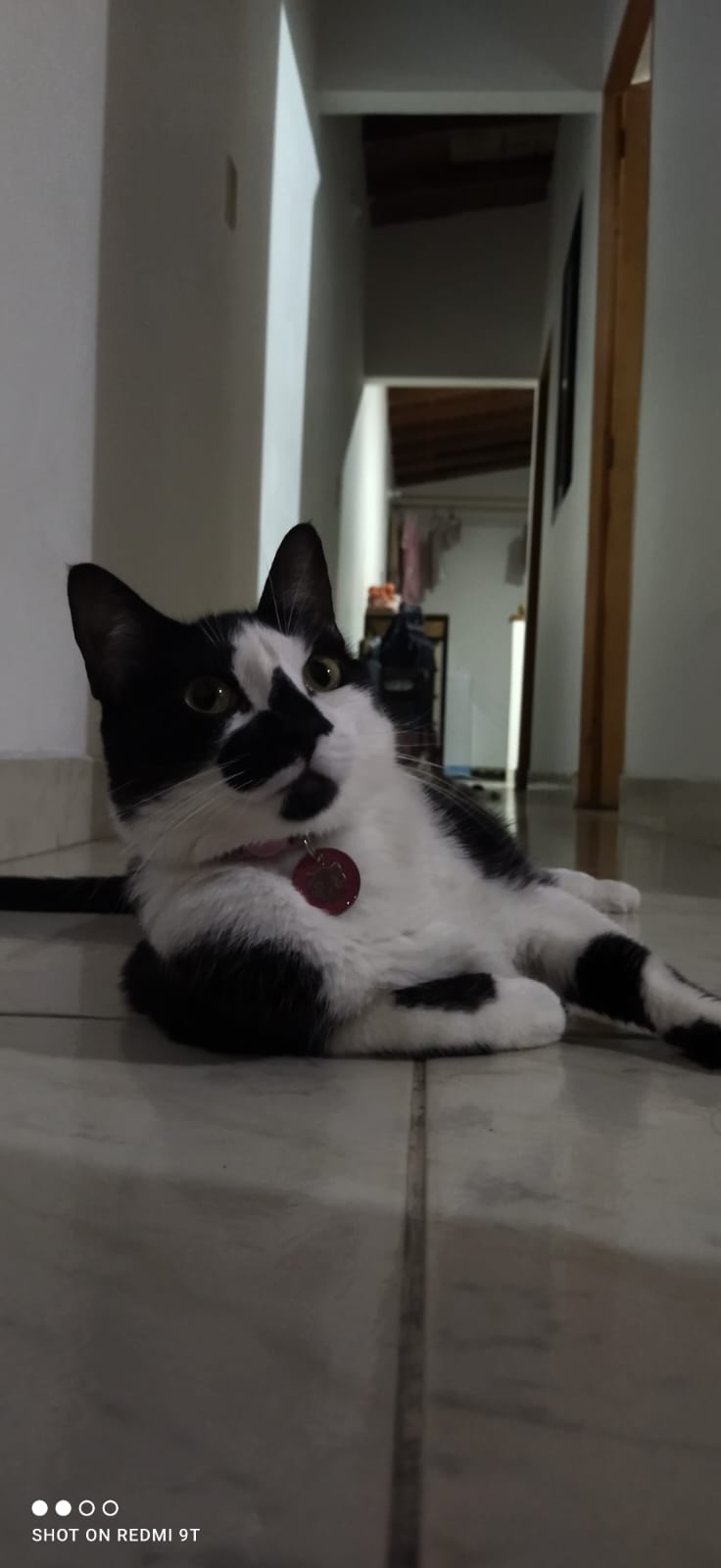 LULÚ